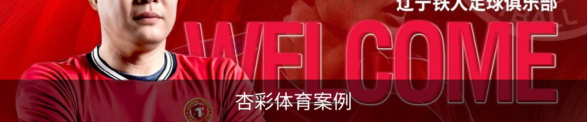 杏彩体育案例
